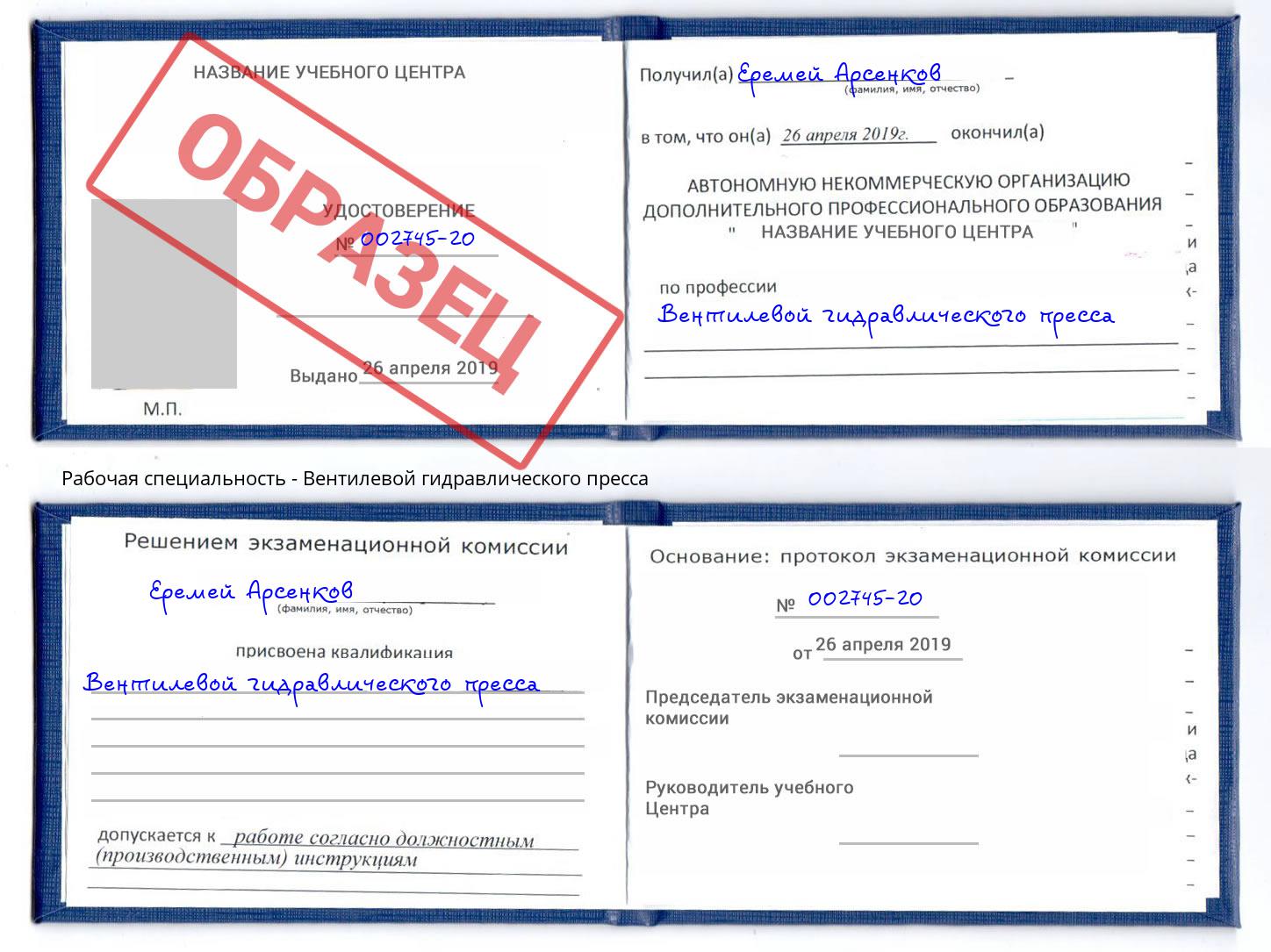 Вентилевой гидравлического пресса Черногорск