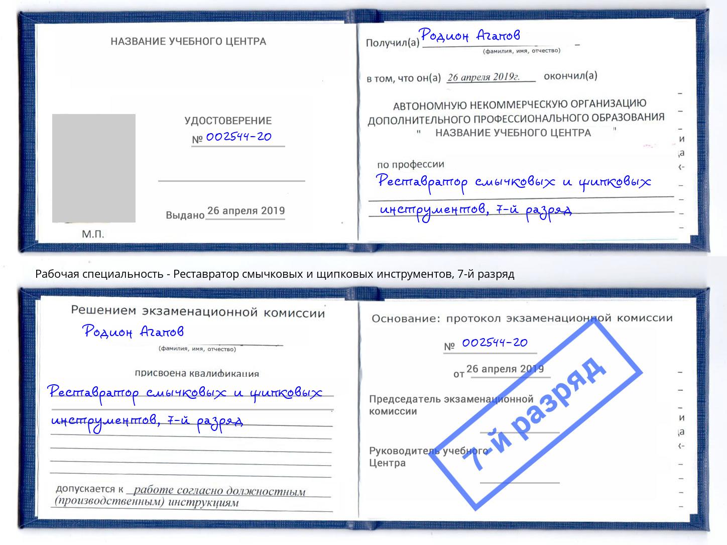 корочка 7-й разряд Реставратор смычковых и щипковых инструментов Черногорск